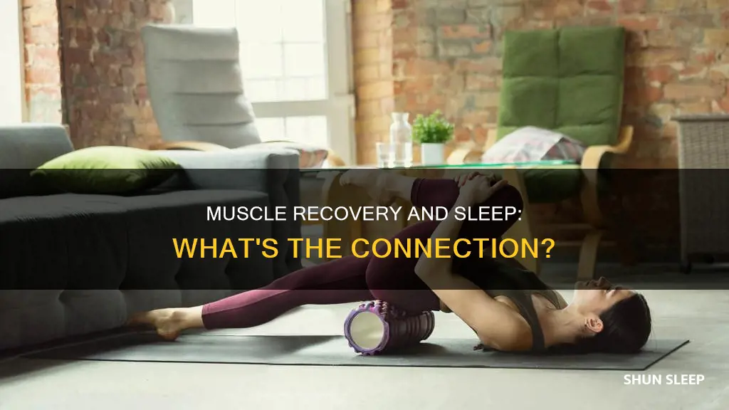 can your muscles recover without sleep