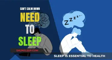 Calm Before Sleep: Strategies for a Restless Mind