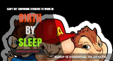 Troubleshooting Chipmunk Stickers in Birth by Sleep: A Step-by-Step Guide