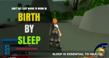 Troubleshooting Birth by Sleep: Fixing the Last Word Ability Issue