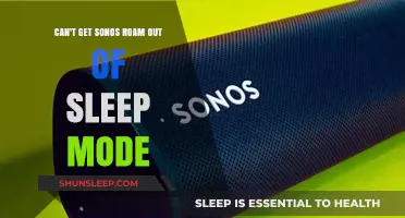 Troubleshooting Sonos Roam: How to Wake It from Sleep Mode
