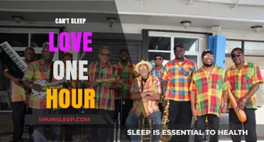 Sleepless Serenade: When Love's Embrace Lasts Just an Hour