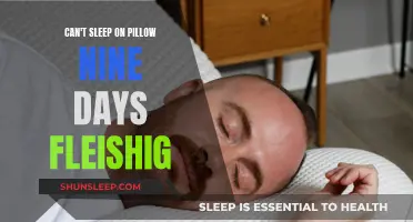 Fleishig Pillow: Nine Sleepless Nights and Counting