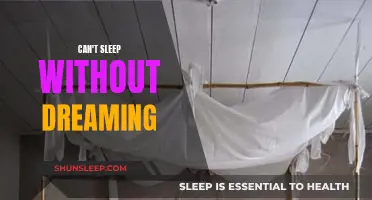 Dreaming: The Sleep's Intricate World and Its Control