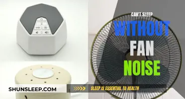 Fan Noise: A Sleep Companion