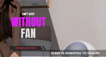 The Comforting White Noise of Fans Lulls Me to Sleep