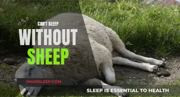Sheep and Sleep: The Cozy Connection