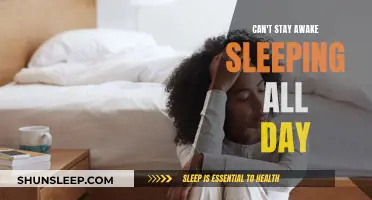 Daytime Sleep: Why Can't I Stay Awake?