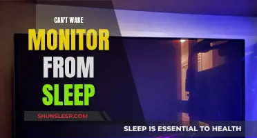 Troubleshooting: Waking Up Your Monitor from Slumber