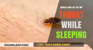 Can Insects Crawl into Your Throat While You Sleep? Facts Revealed