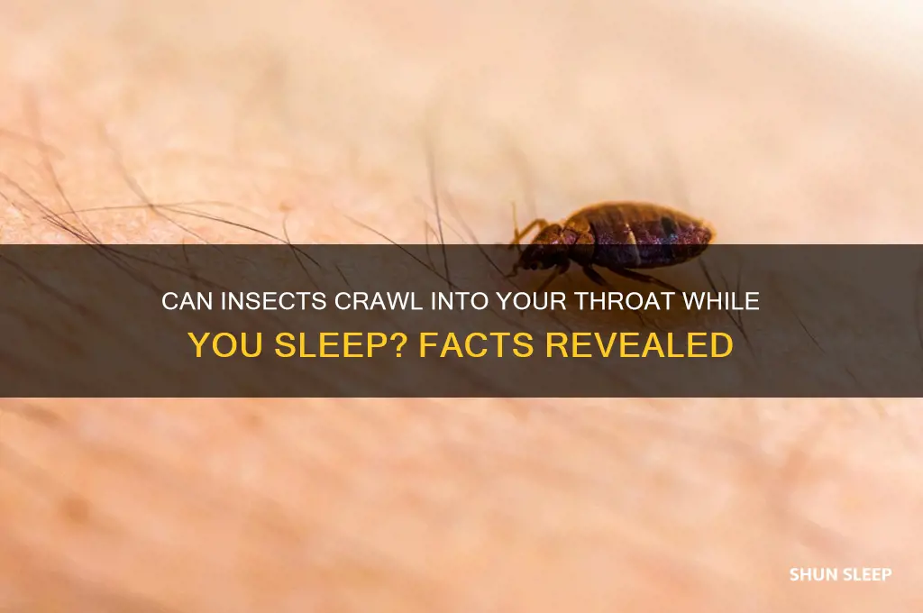 could a bug get get my throat while sleeping