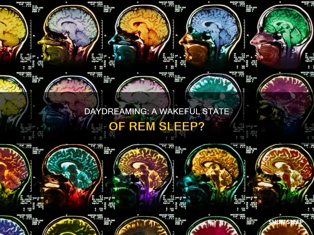 could daydreaming be like rem sleep