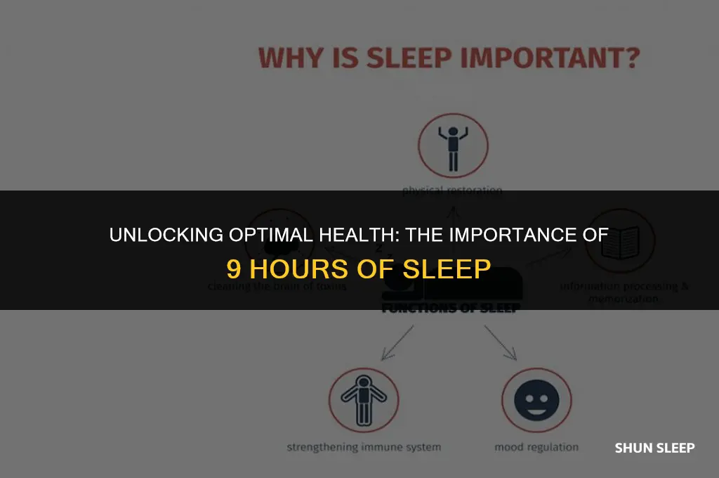 could i need 9 hours of sleep each night