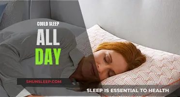 Sleep: A Day-Long Affair