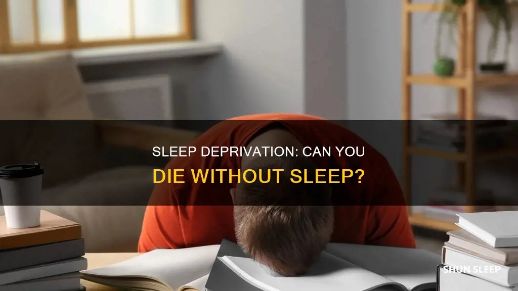 could you die without sleep