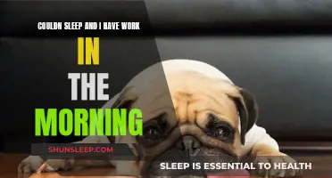 Sleepless Nights: Work Tomorrow, What Do I Do?
