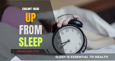 Sleep Inertia: Struggling to Wake Up from Slumber