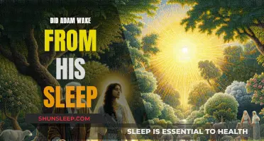 Adam's Slumber: Unveiling the Mystery of His Awakening