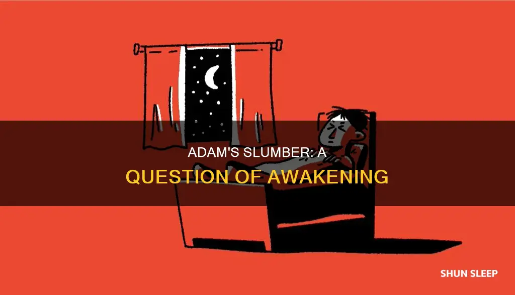 did adam wake from his sleep