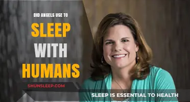 Angels and Humans: Did They Sleep Together?