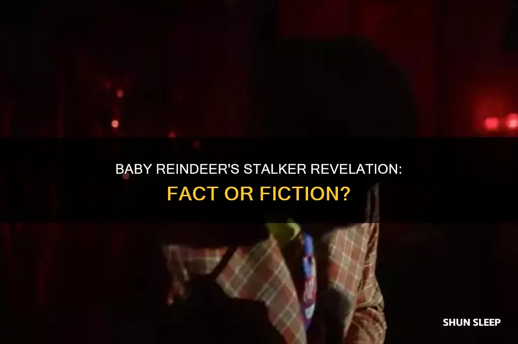 did baby reindeer sleep with his stalker