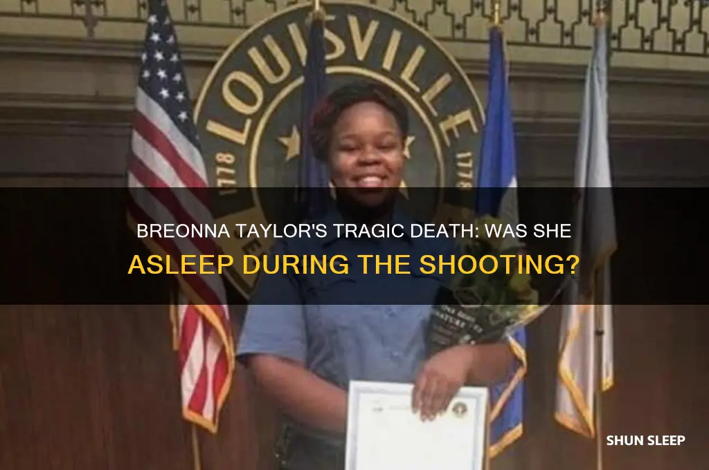 did breonna taylor get shot in her sleep