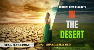 Christ's 40-Day Desert Fast: Did He Sleep?