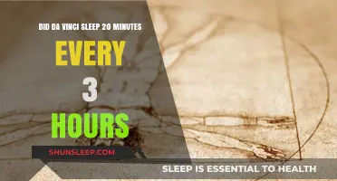 Unraveling the Myth: Da Vinci's Unique Sleep Pattern Explored