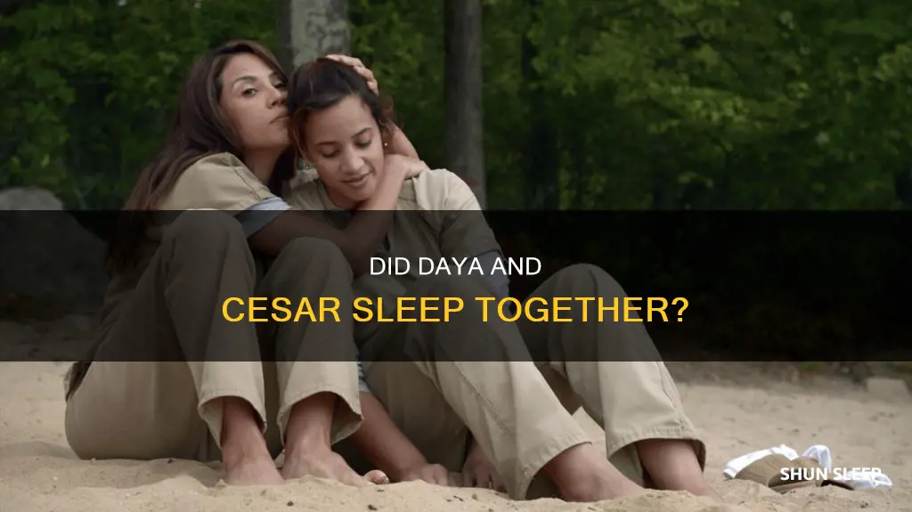 did daya sleep with cesar