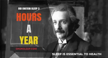 Unraveling the Myth: Einstein's Sleep Habits and Productivity Secrets