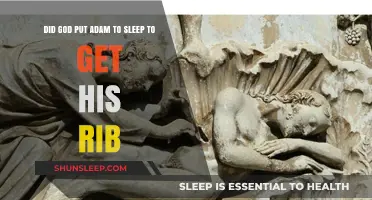 Did God Put Adam to Sleep to Create Eve from His Rib?