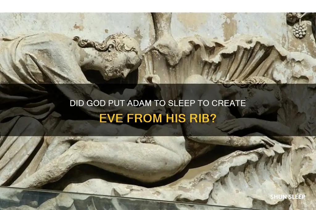 did god put adam to sleep to get his rib