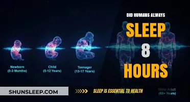 Unraveling the Mystery: Did Humans Always Sleep 8 Hours?