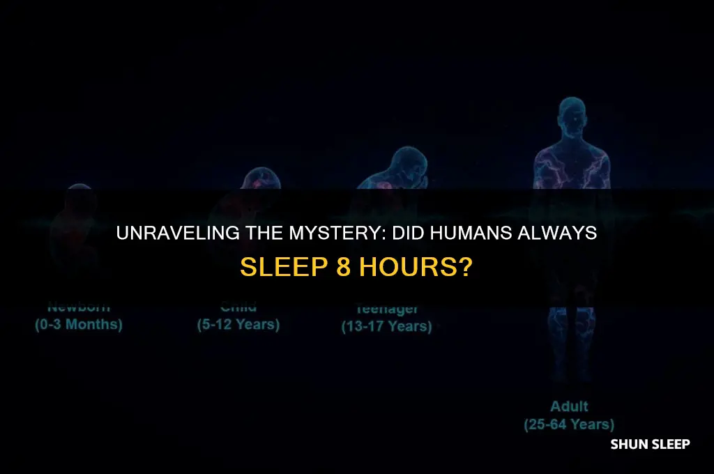 did humans always sleep 8 hours