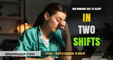 The Evolution of Sleep: Humans' Two-Shift Sleep Patterns