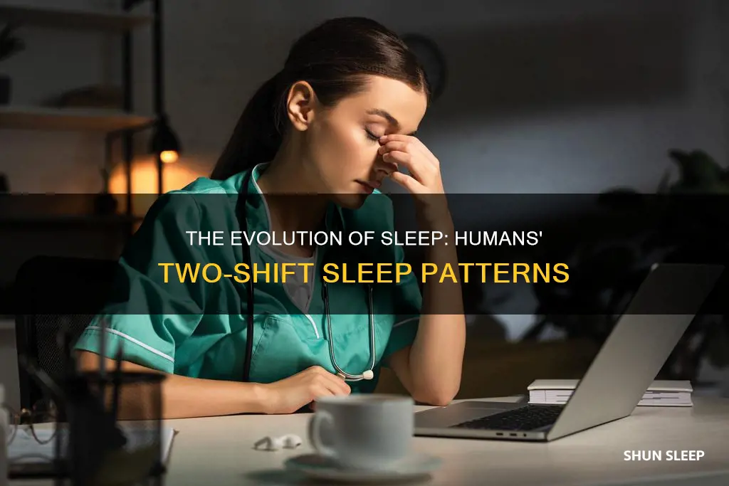 did humans use to sleep in two shifts