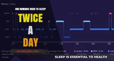 The Evolution of Sleep: Twice-Daily Human Sleep Habits