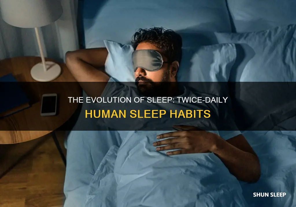 did humans used to sleep twice a day