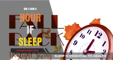 Did I Gain an Hour of Sleep? Understanding Daylight Saving Time Changes