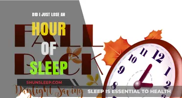 Did I Just Lose an Hour of Sleep: Understanding Daylight Saving Time
