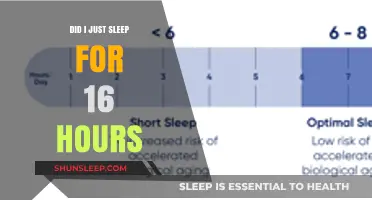 Did I Just Sleep for 16 Hours? Understanding Extended Rest Periods