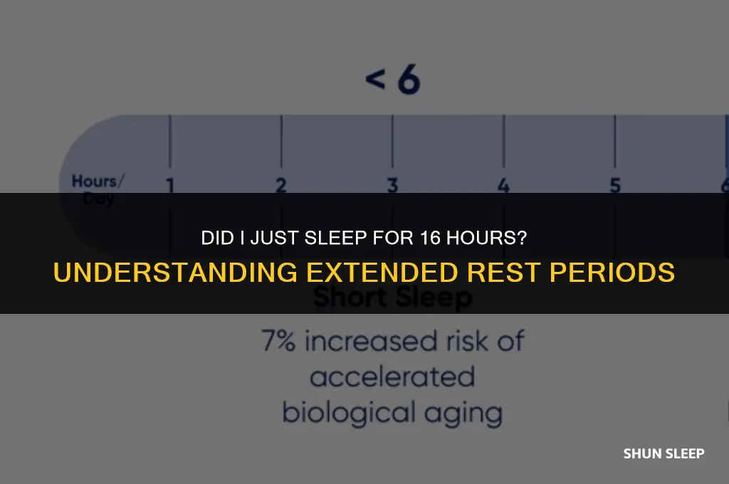 did i just sleep for 16 hours