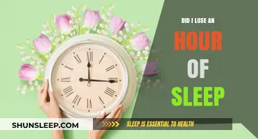 Did I Lose an Hour of Sleep: Understanding Daylight Saving Time