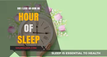 Spring Forward, Fall Back: The Daylight Saving Time Dilemma