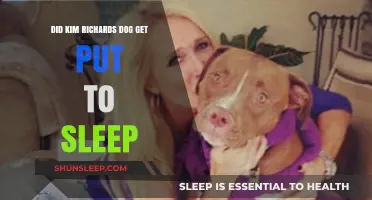 Kim Richards' Dog's Fate: Was It Put to Sleep?