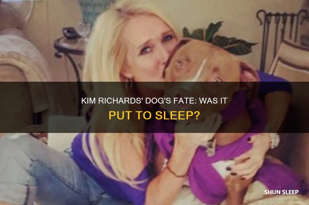 did kim richards dog get put to sleep