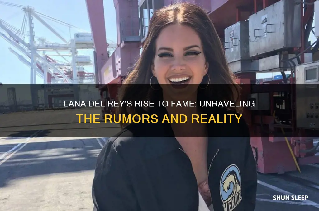 did lana del rey sleep with peole to get famous
