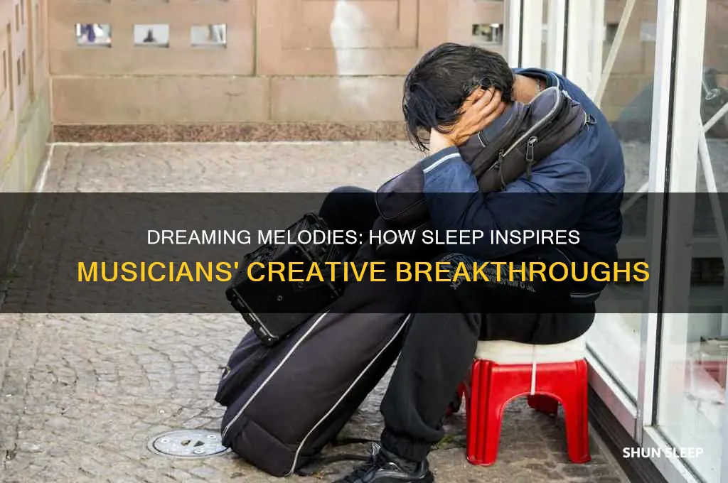 did musicians get inspiration in sleep