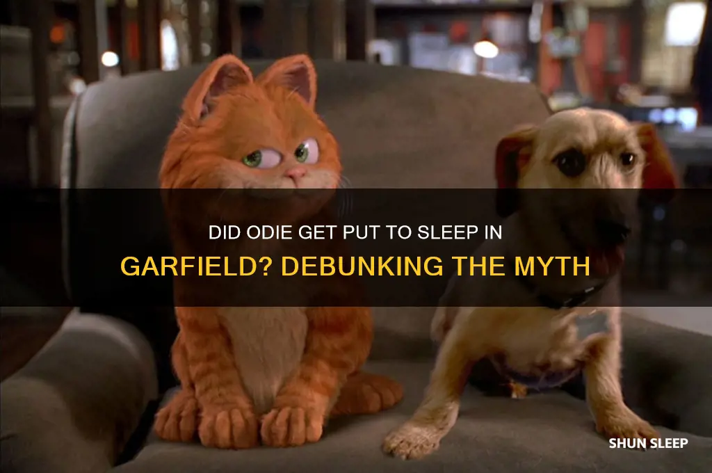 did odie get put to sleep garfield