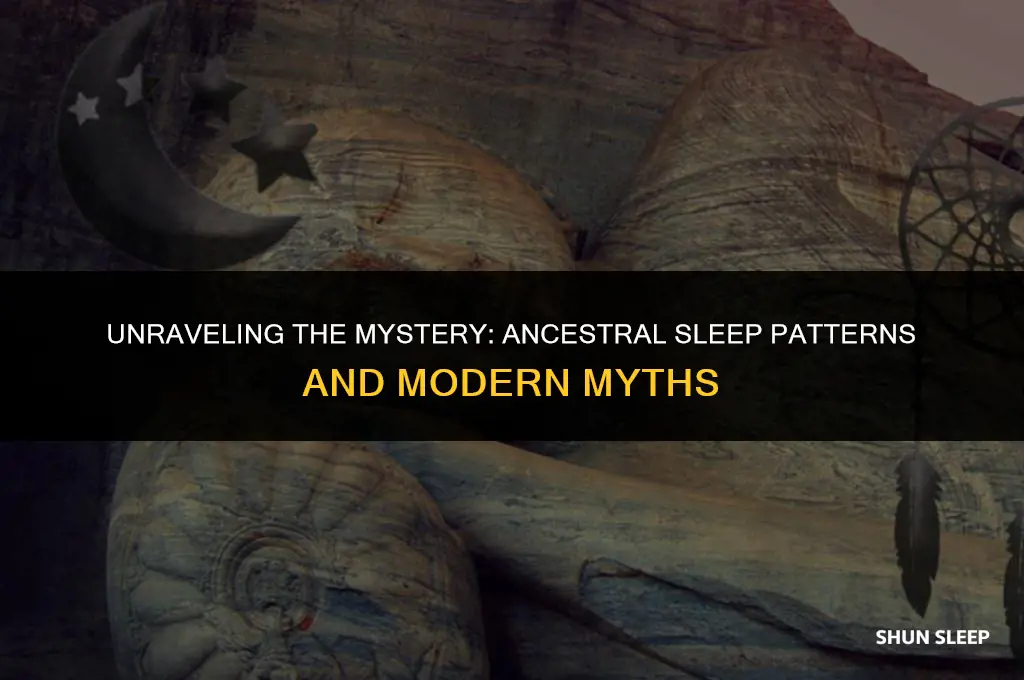 did our ancestors sleep for 8 hours